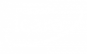 ‎Capacitación ICARE